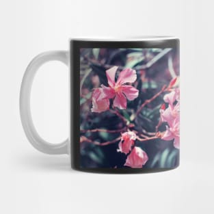 Pink Nerium oleander flower Mug